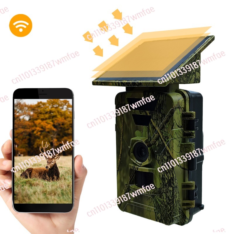 Kamera Perburuan Satwa Liar Te - Outdoor Hunting Camera Wifi ulasan dan harga