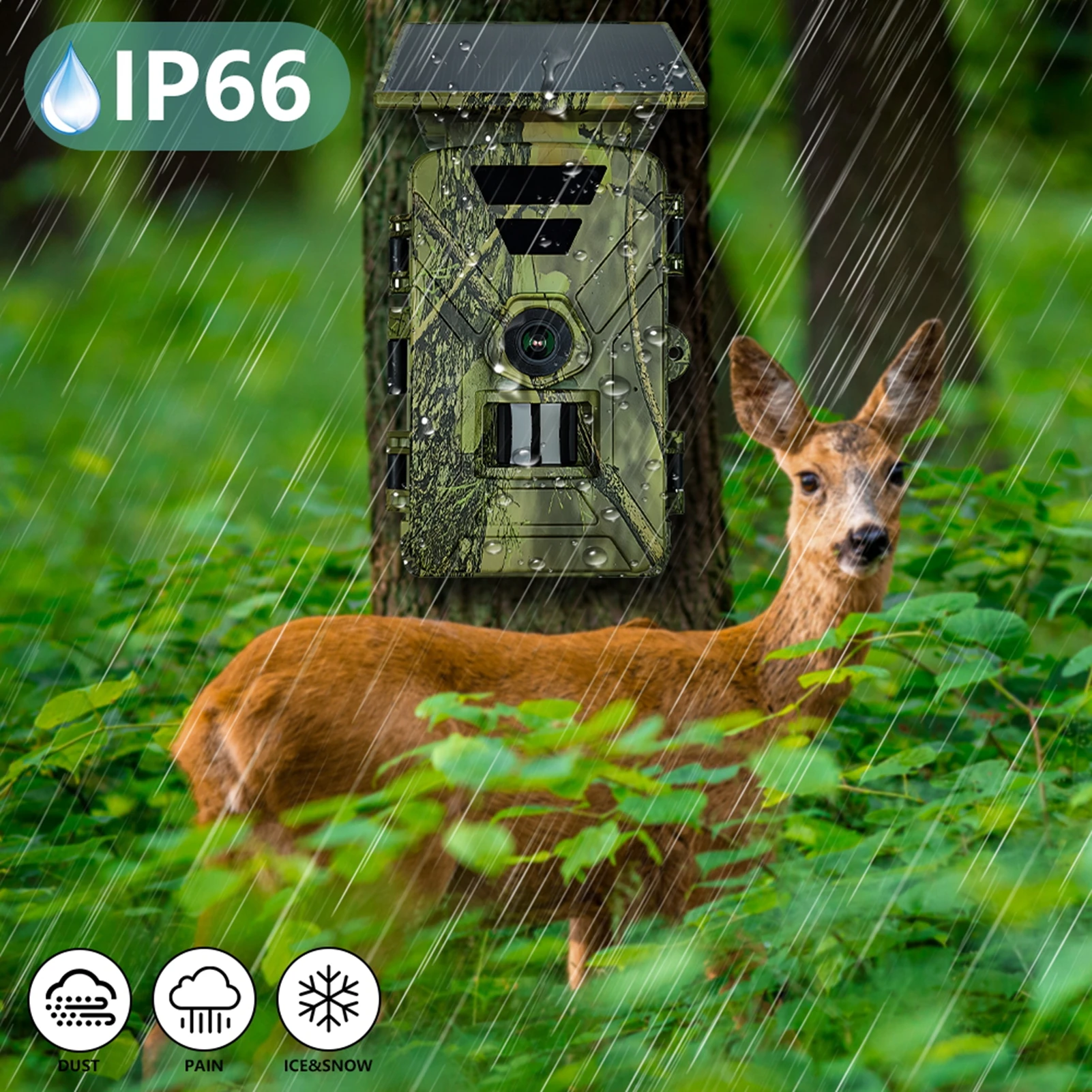 Kamera Trail Solar 8K 60MP WiF - Outdoor Hunting Camera Wifi ulasan dan harga