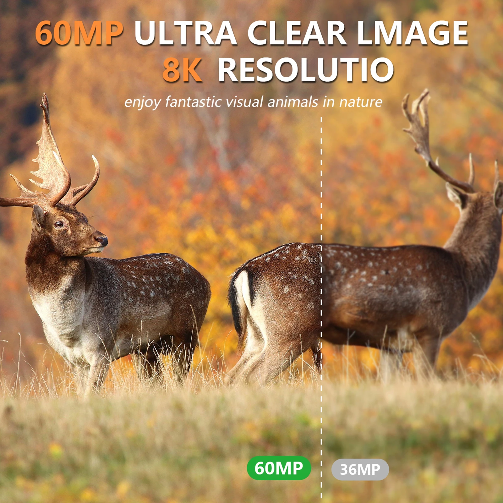 Kamera Trail Solar 8K 60MP WiF - Outdoor Hunting Camera Wifi ulasan dan harga