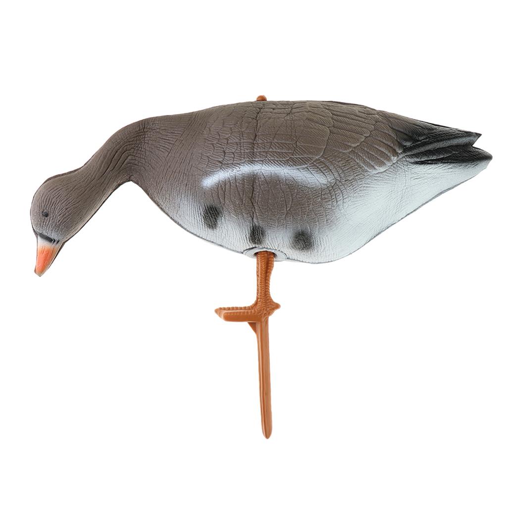Pemikat Burung Kalkun dan Angs - Hunting & Outdoor Supplies Carterton Reviews ulasan dan harga