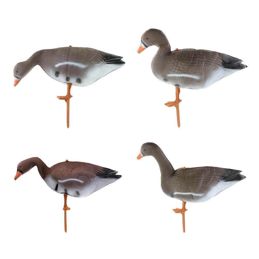 Pemikat Burung Kalkun dan Angs - Hunting & Outdoor Supplies Carterton Reviews ulasan dan harga