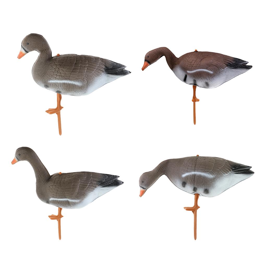 Pemikat Burung Kalkun dan Angs - Hunting & Outdoor Supplies Carterton Reviews ulasan dan harga